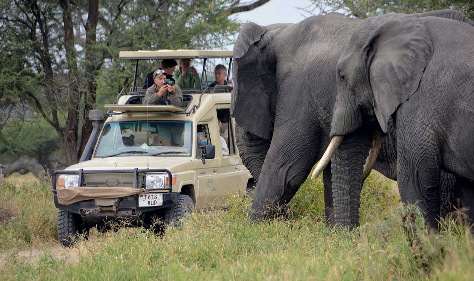 Tarangire Two-Day Escape – 2-Day Tarangire Wildlife Safari