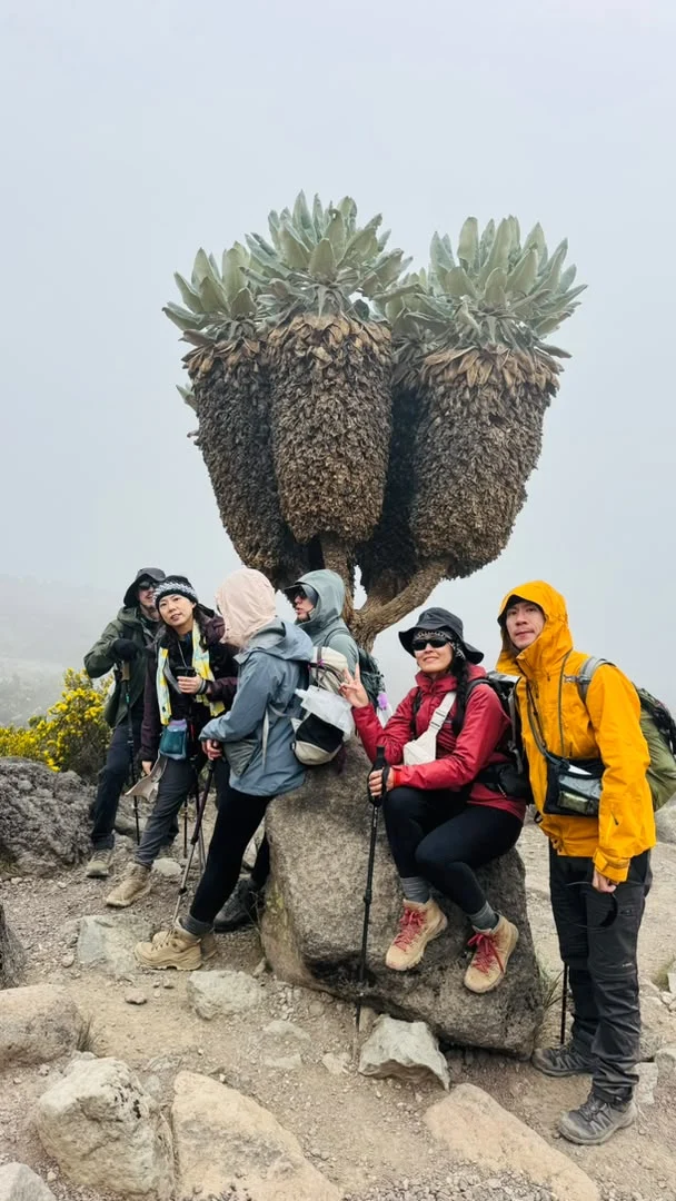 Machame Route & Safari Adventure