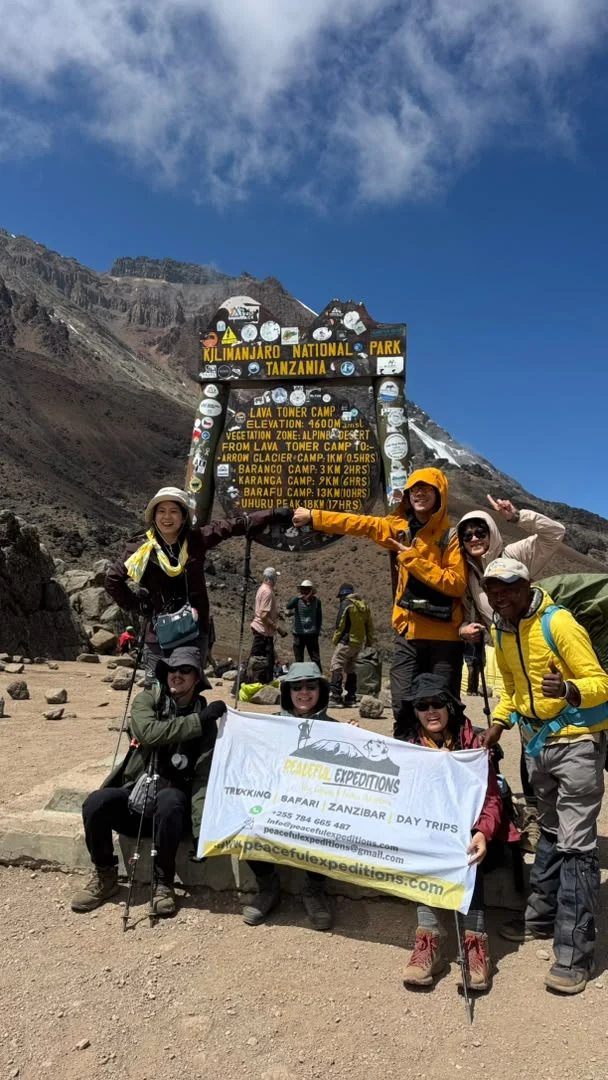 Lemosho Route & Safari Adventure