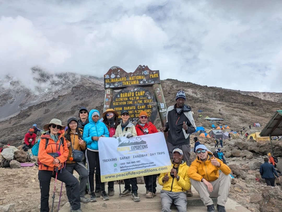 Machame Route & Safari Adventure