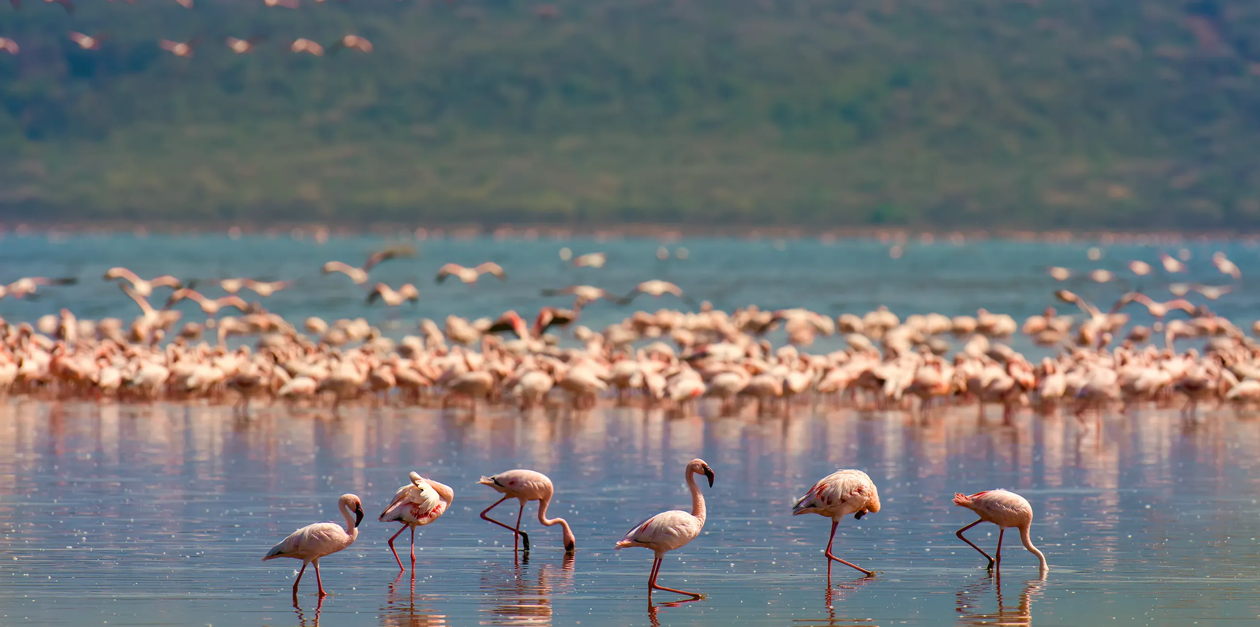 1-day-lake-manyara-national-park