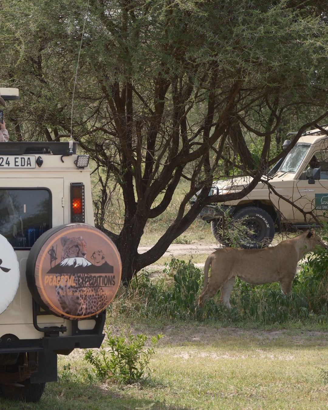 Unforgetable 5 Days Private Luxury Safari