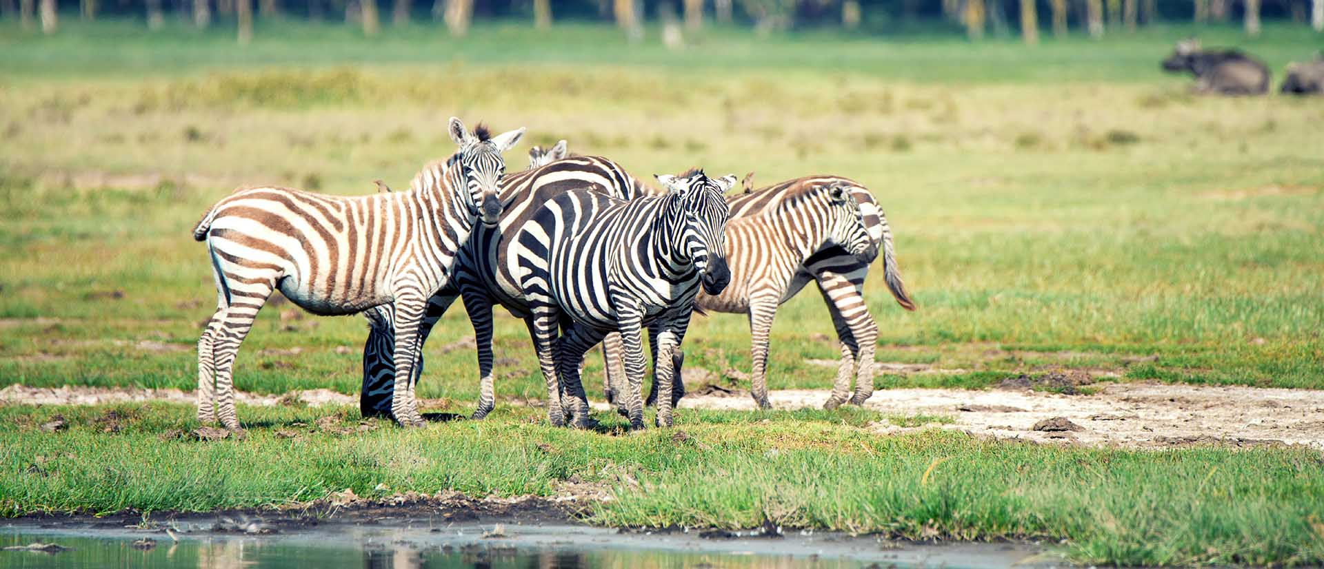 Katavi National Park