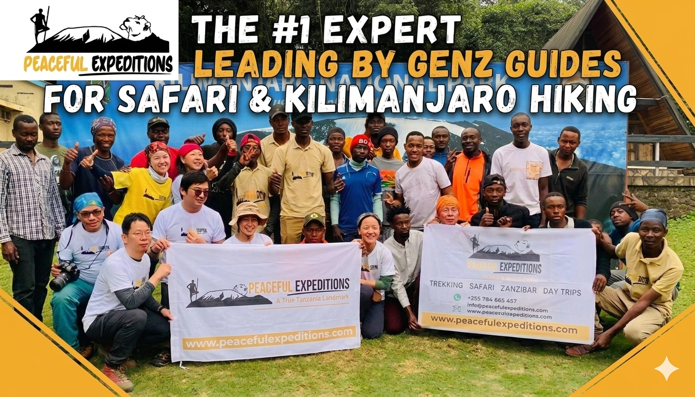 Peaceful Expeditions