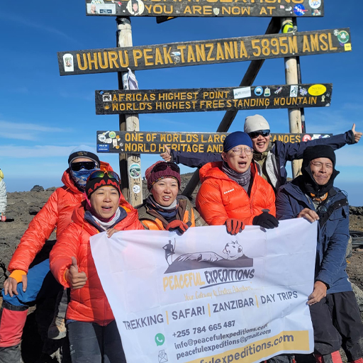 Mount Kilimanjaro Summit
