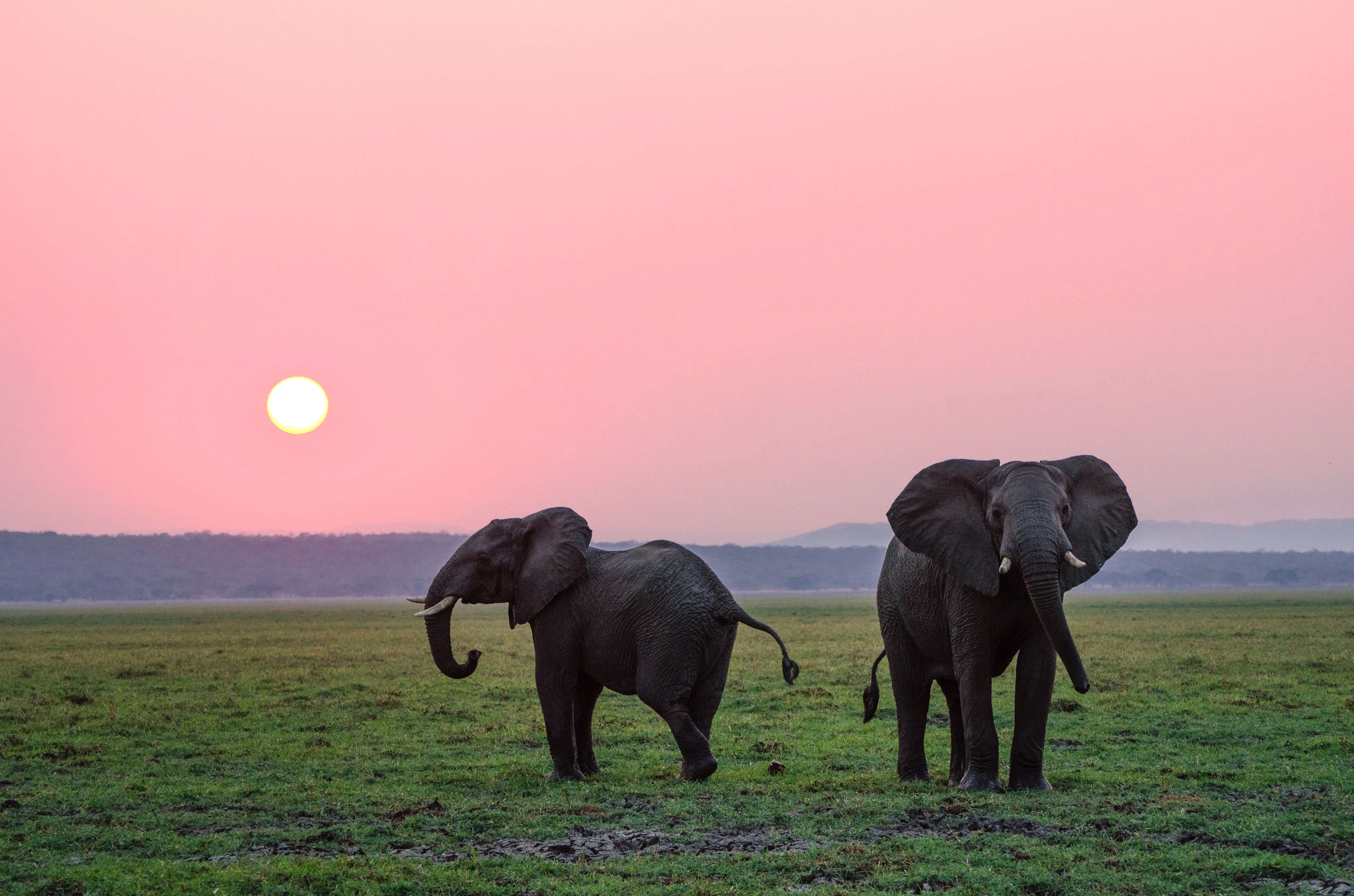 When to visit Tanzania